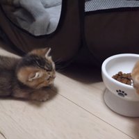 向き合うふたり