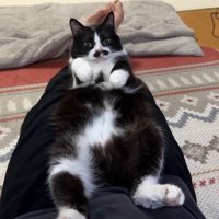 足の上で仰向け(正面から)