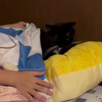 クッションに乗った猫ちゃんに毛布をかけるお姉ちゃん