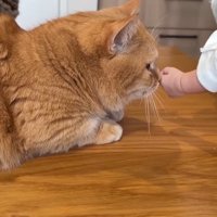 匂いチェック中