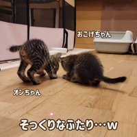 そっくりなふたり