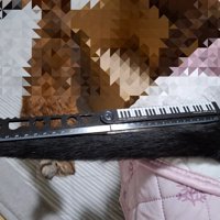 定規で猫のしっぽを測る