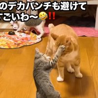 顔面にパンチ