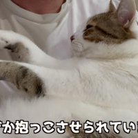 抱っこさせられている様子