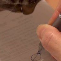 ノートに描かれた丸いものを見つめる猫