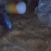 「ダイジ」がいくつか見える様子