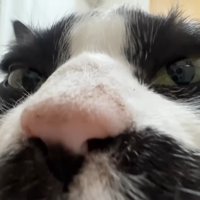 ドアップ