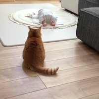 座り込む後ろ姿