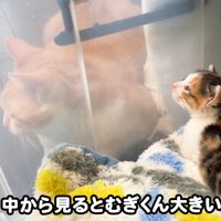 テロップ「中から見ると～」