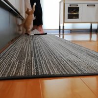 料理をしている飼い主とキッチンマットにいる子猫