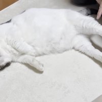 寝ながらのびー