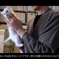 抱えられている子猫