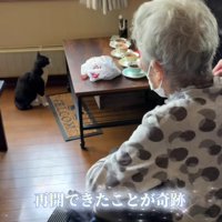 猫を見つめるおばあちゃん