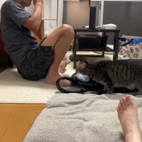 身を低くしながら