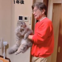 お父さんを見つめる猫