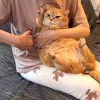 右前足の爪切り中