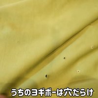 穴だらけのクッション