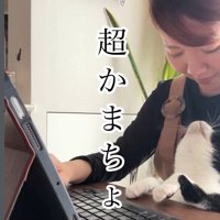 人の膝の上に乗っている猫