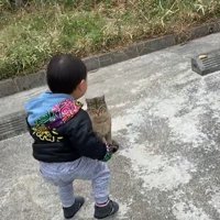 しゃがむ男の子の前にいる猫