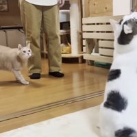 おもちゃに手を伸ばした瞬間