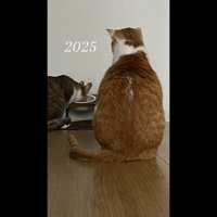 斜め前を見つめる後ろ姿