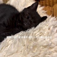 リラックスする姿
