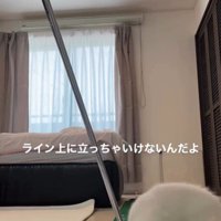 ゴルフの練習をしている人とそれを見ている子猫