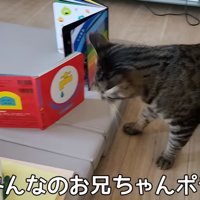 テロップ「みんなの～」