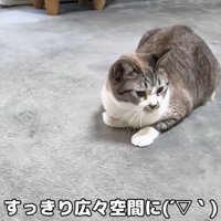 広い空間に