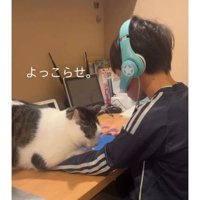 男の子と猫