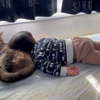 猫と子ども