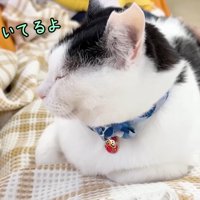 僕がついてるよ