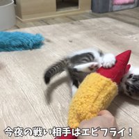 エビと戦っている写真