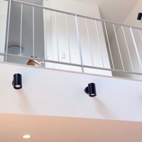 飼い主さんが投げたボールを取りにいく茶トラ白猫