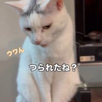 「つられたね」と書かれた写真