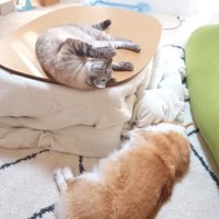 寝転がるふたり