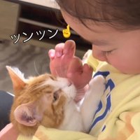 子猫を抱く女の子