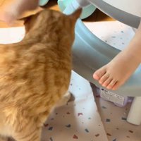 赤ちゃんの足の近くにいる猫