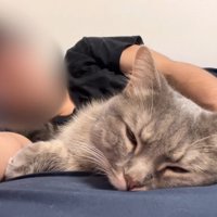眠った姿