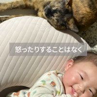 赤ちゃんのそばで眠る猫