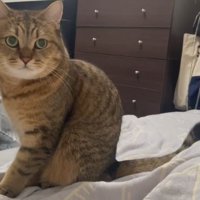ストイックなみにらくん