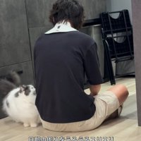 男性の後ろ姿と近くにいる猫