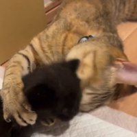 抱きしめる