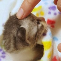 見上げる姿&なでなで
