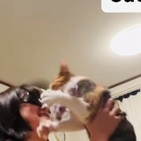 飛んできた三毛猫をキャッチする娘さん