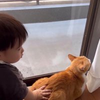 猫のおしりをたたく赤ちゃん
