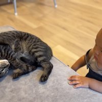 ゴロンする猫と赤ちゃん