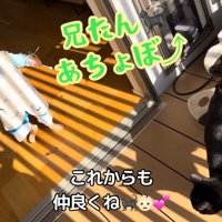 テロップ「これからも～」