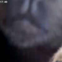 カメラを上に上げていく