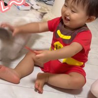 猫じゃらしを持っている赤ちゃんと子猫